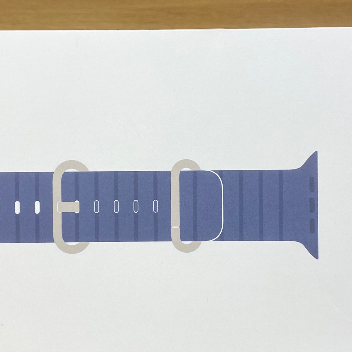 Apple Watch Strap 49mm Anchor Blue Ocean Band NaturalTitanium Finish One Size MGCC4ZM/A 195950648256 Apple Watch Strap 49mm Anchor Blue Ocean Band NaturalTitanium Finish One Size MGCC4ZM/A 195950648256
