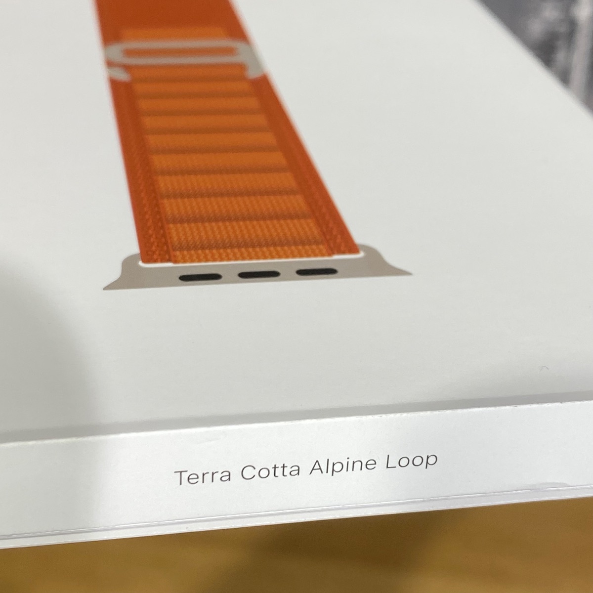Apple Watch Strap 49mm Terracotta Alpine Loop Natural Titanium Finish Small MFTA4ZM/A 195950574975